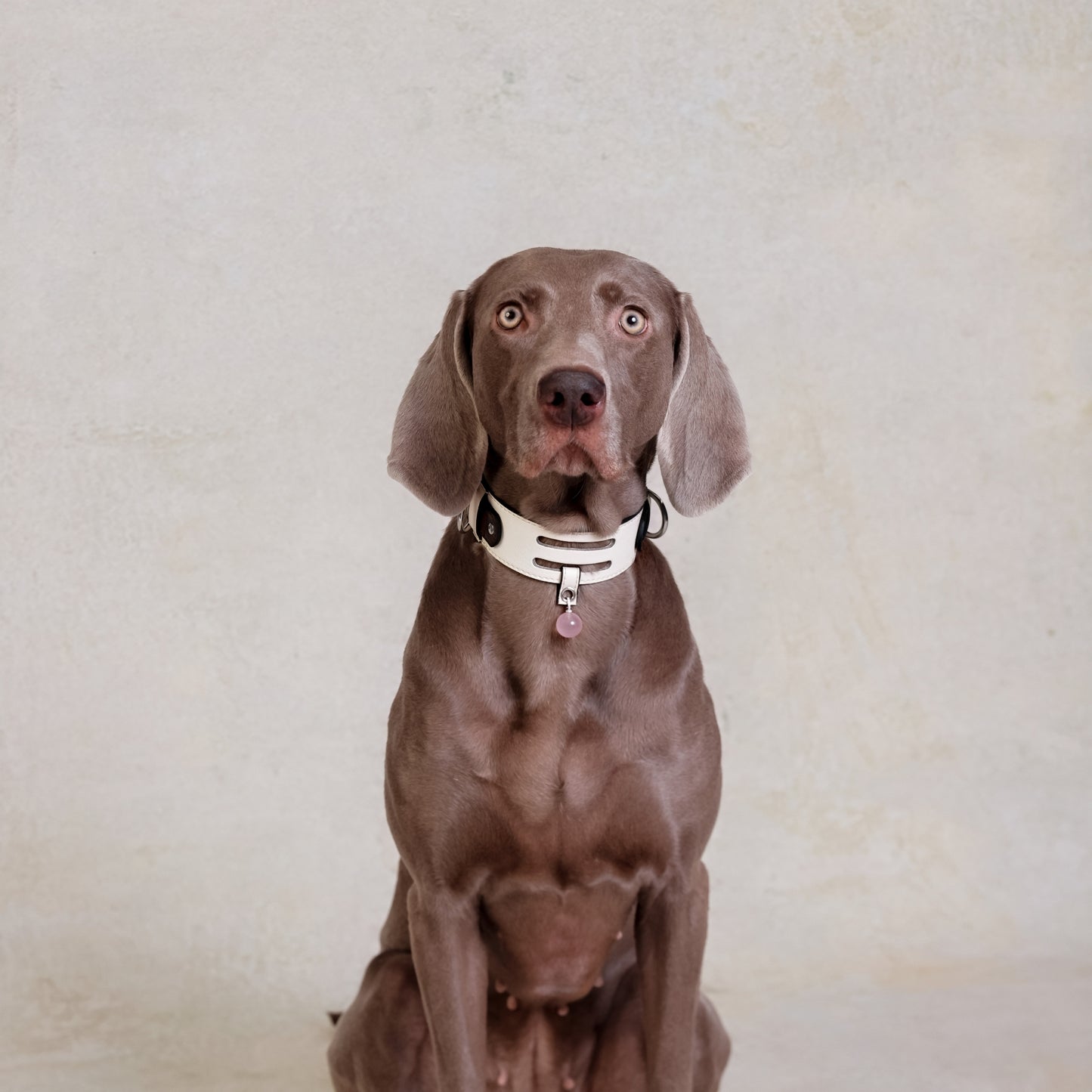 Rose Quartz Crystal pendants - Heart - Luxury Crystal Pet Accessories By Helio Paw