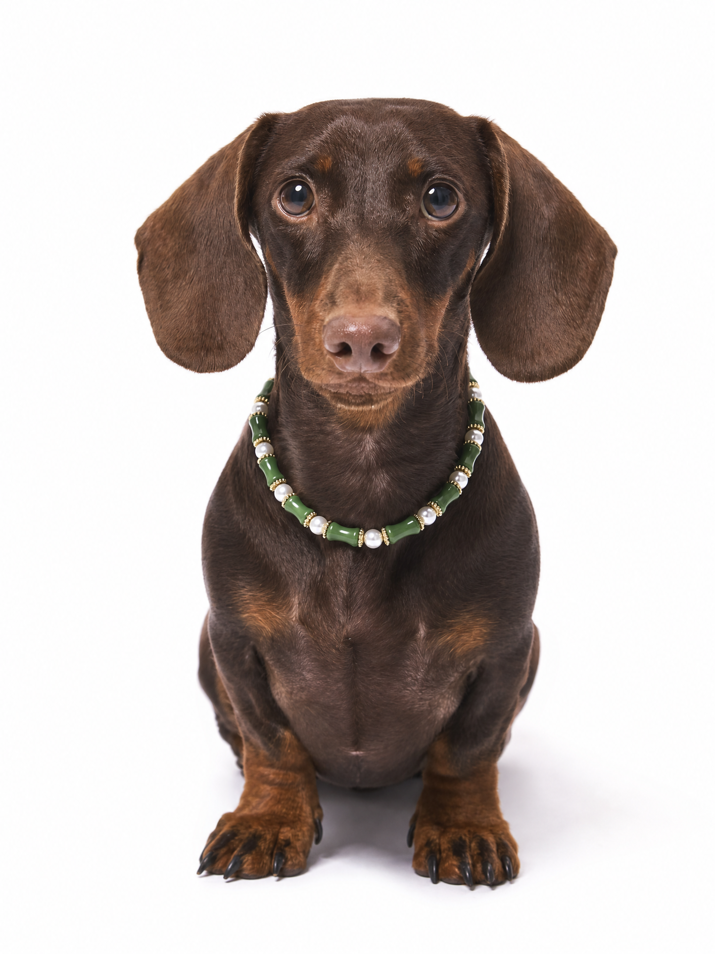 Bamboo Pearl Pet Crystal Necklace