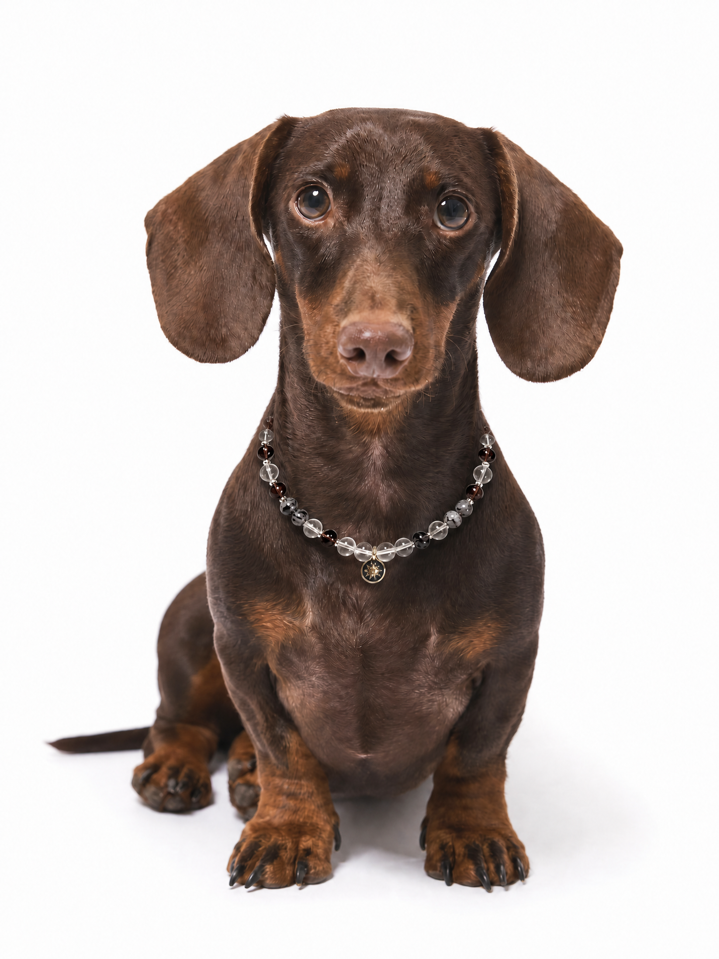 Soluna Pet Crystal Necklace