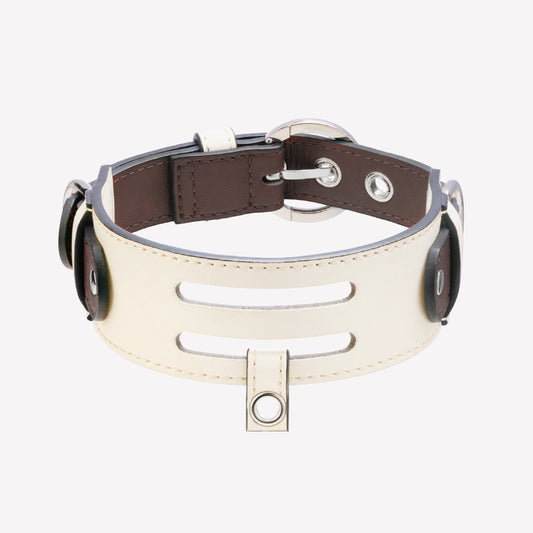 The Arca Pet Collar
