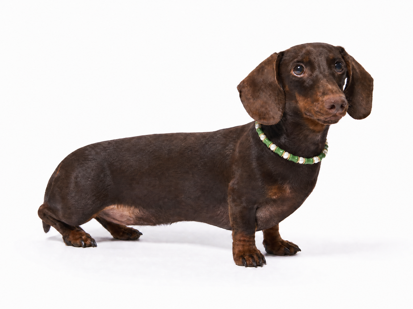 Bamboo Pearl Pet Crystal Necklace