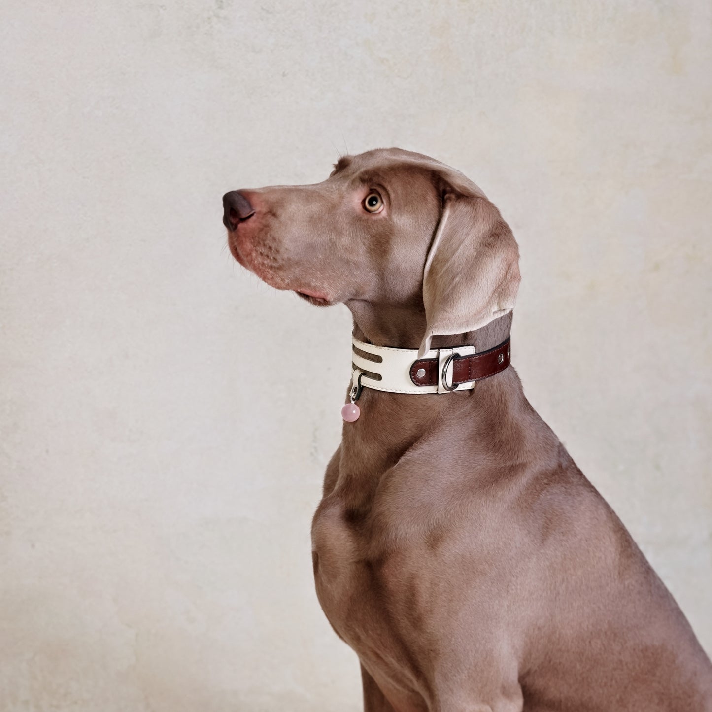 Rose Quartz Crystal pendants