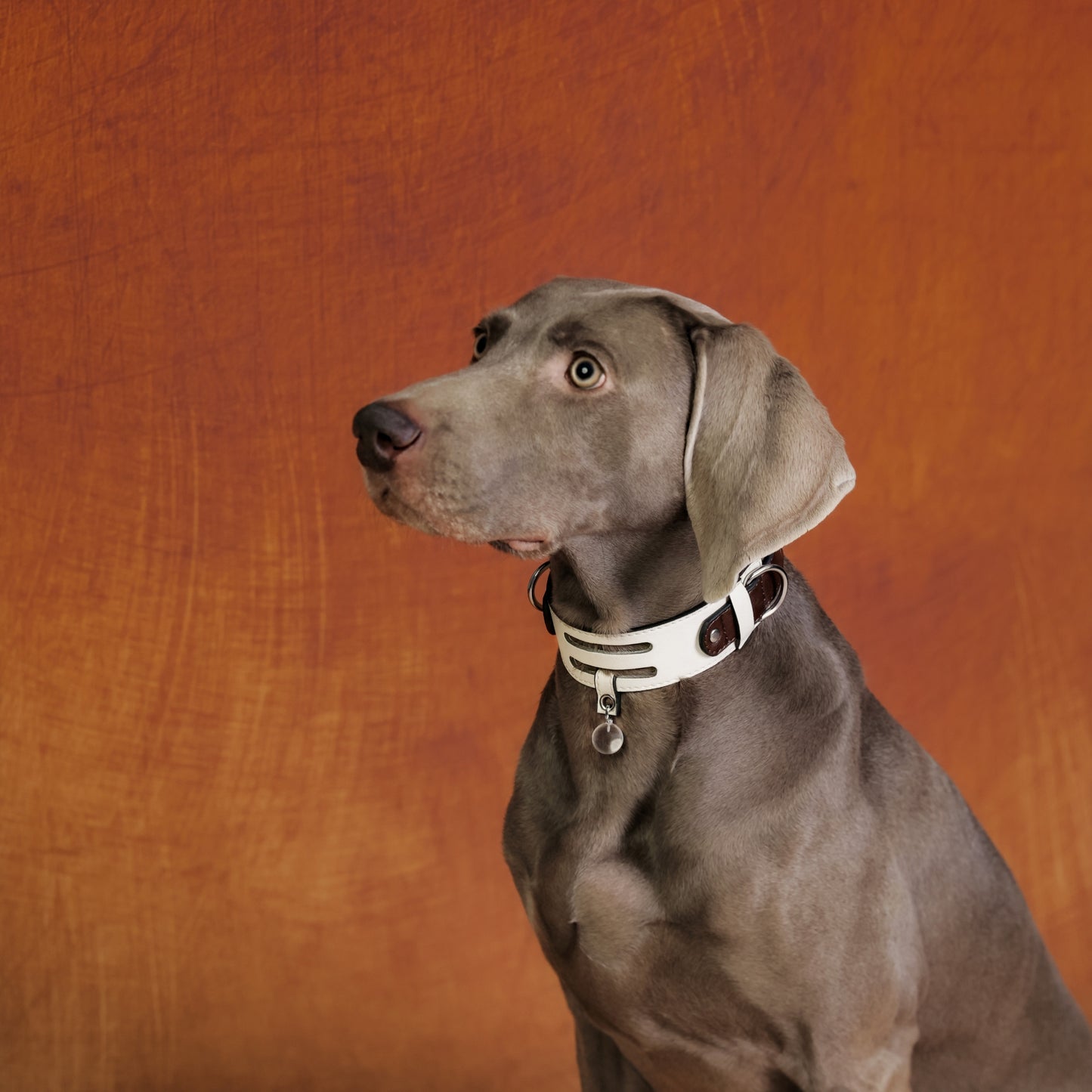 Clear Quartz Crystal pendants