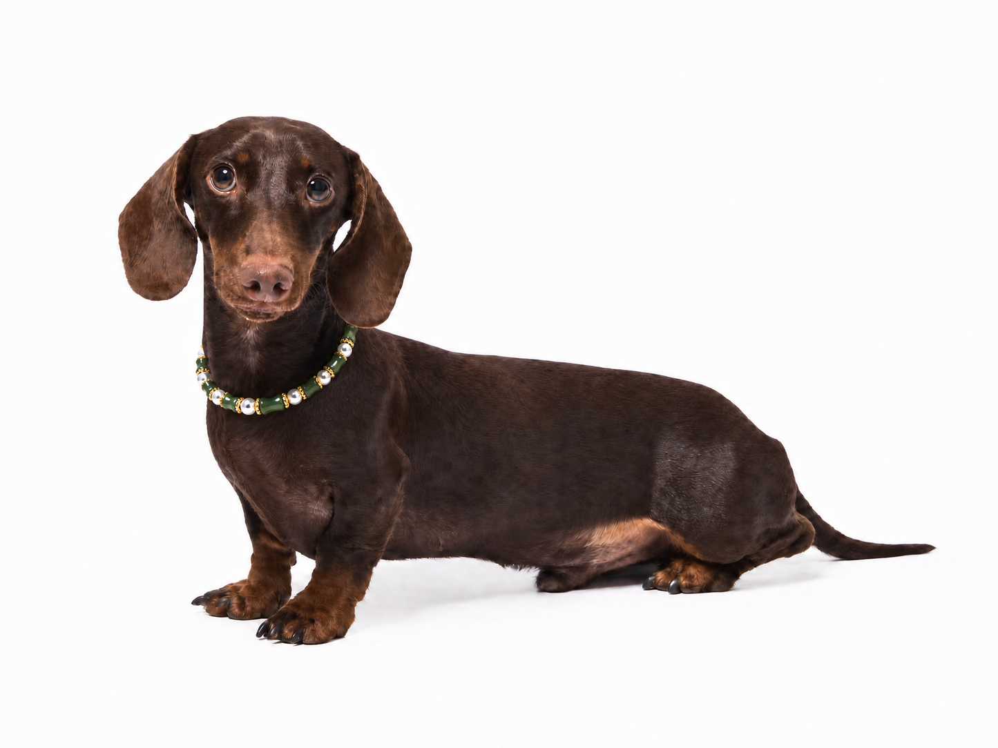 Bamboo Pearl Pet Crystal Necklace
