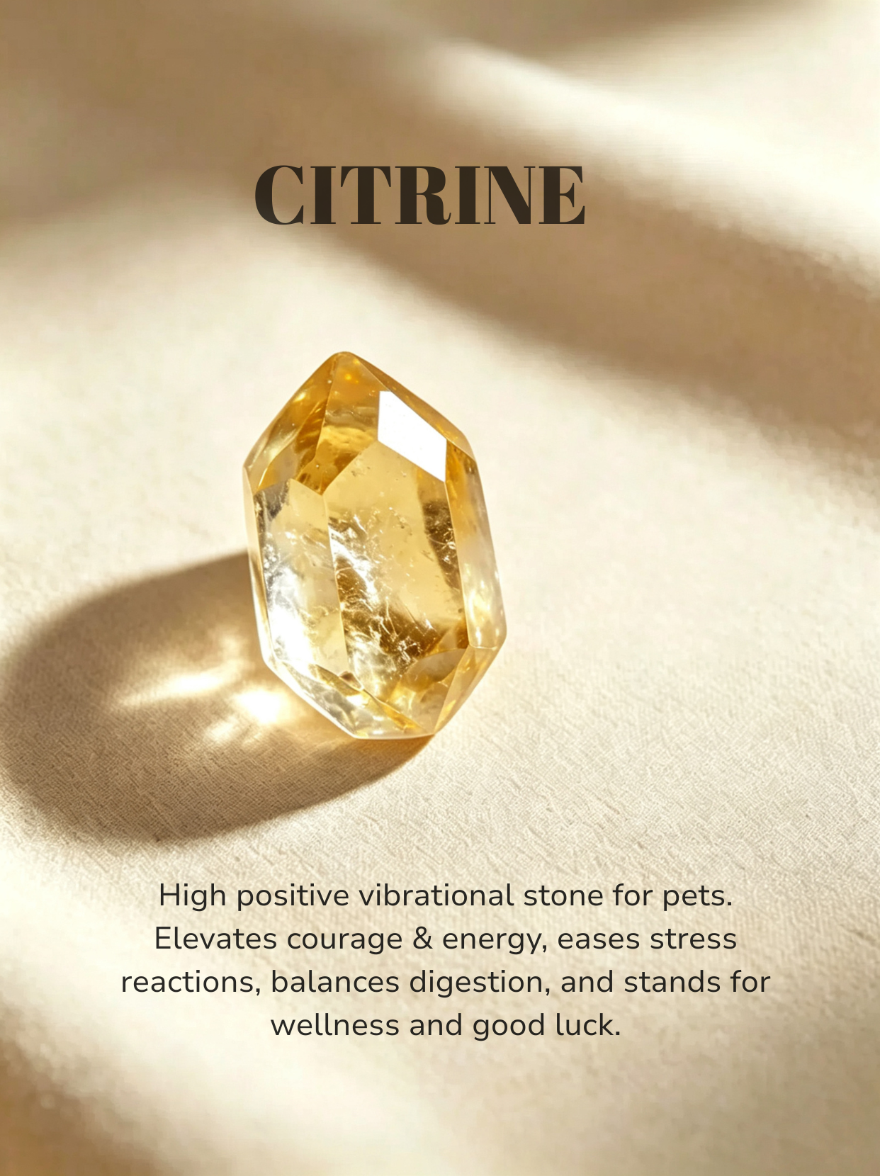 Golden Twilight Pet Crystal Necklace
