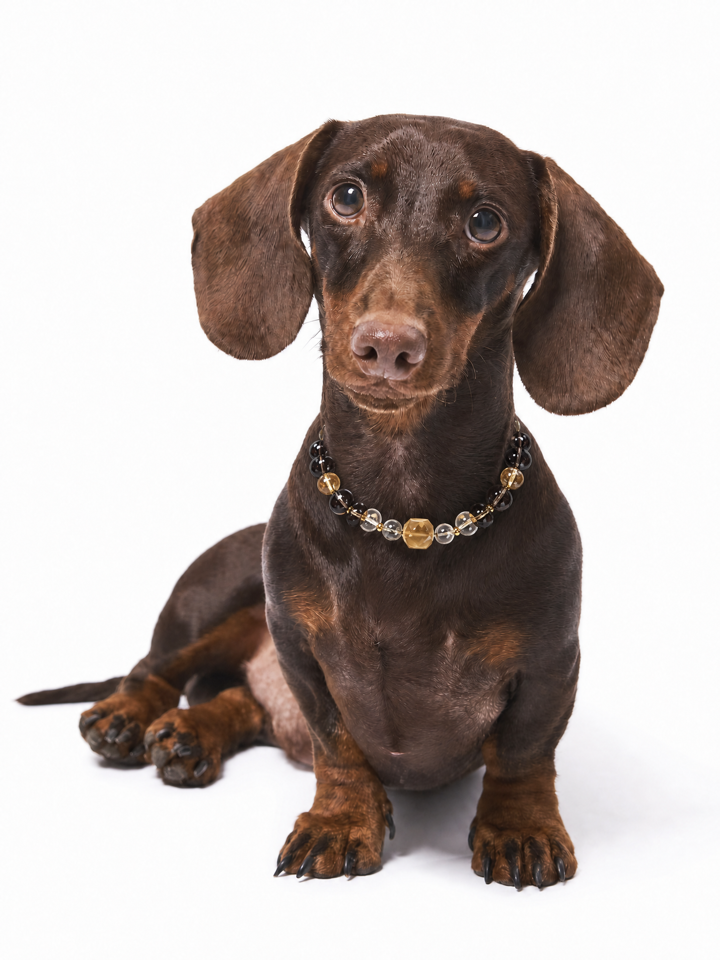 Golden Twilight Pet Crystal Necklace