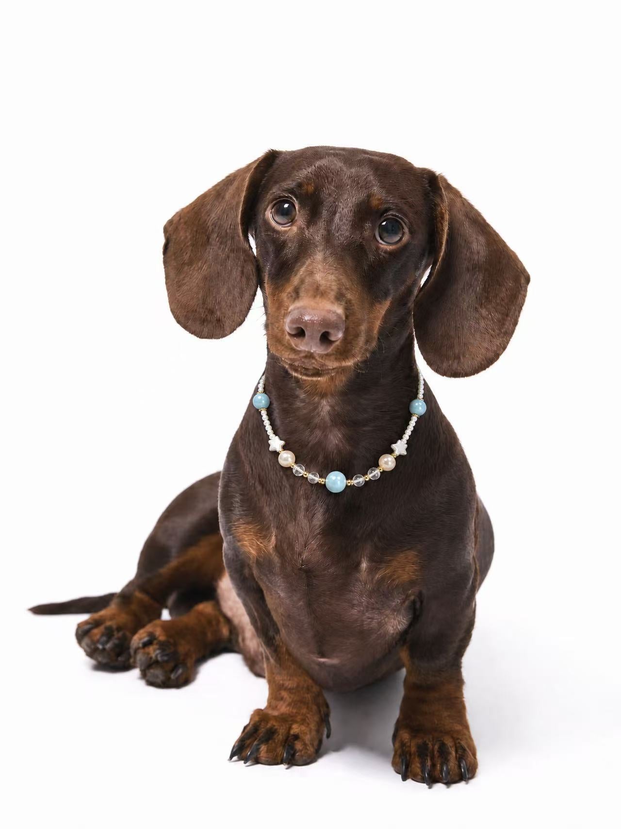 Ocean Breeze Pet Crystal Necklace