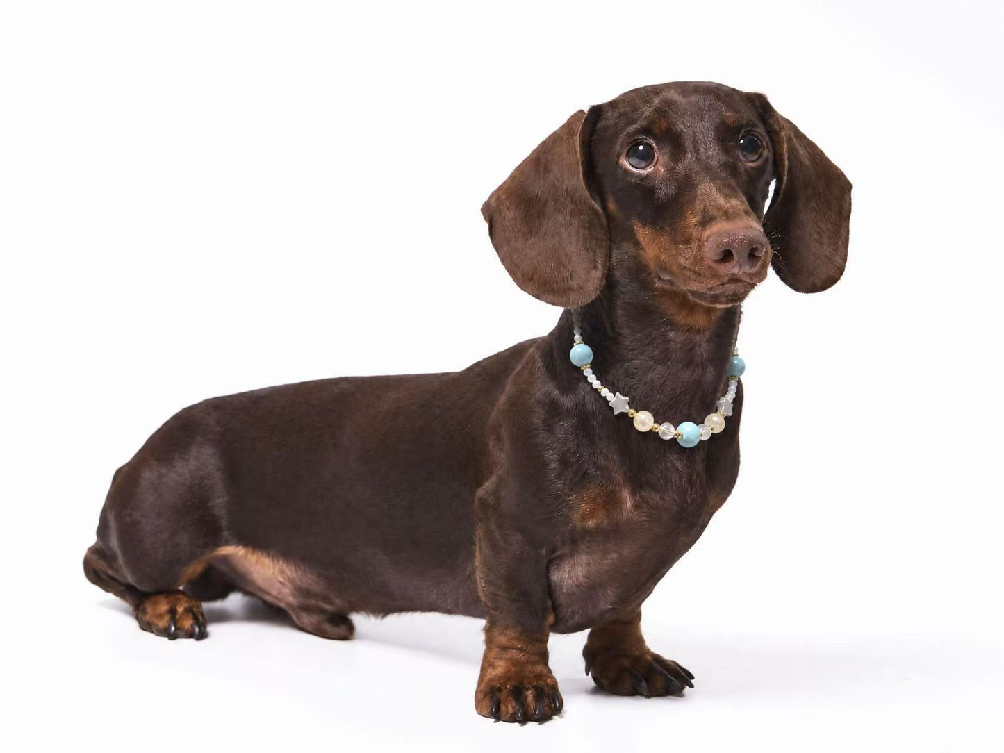 Ocean Breeze Pet Crystal Necklace